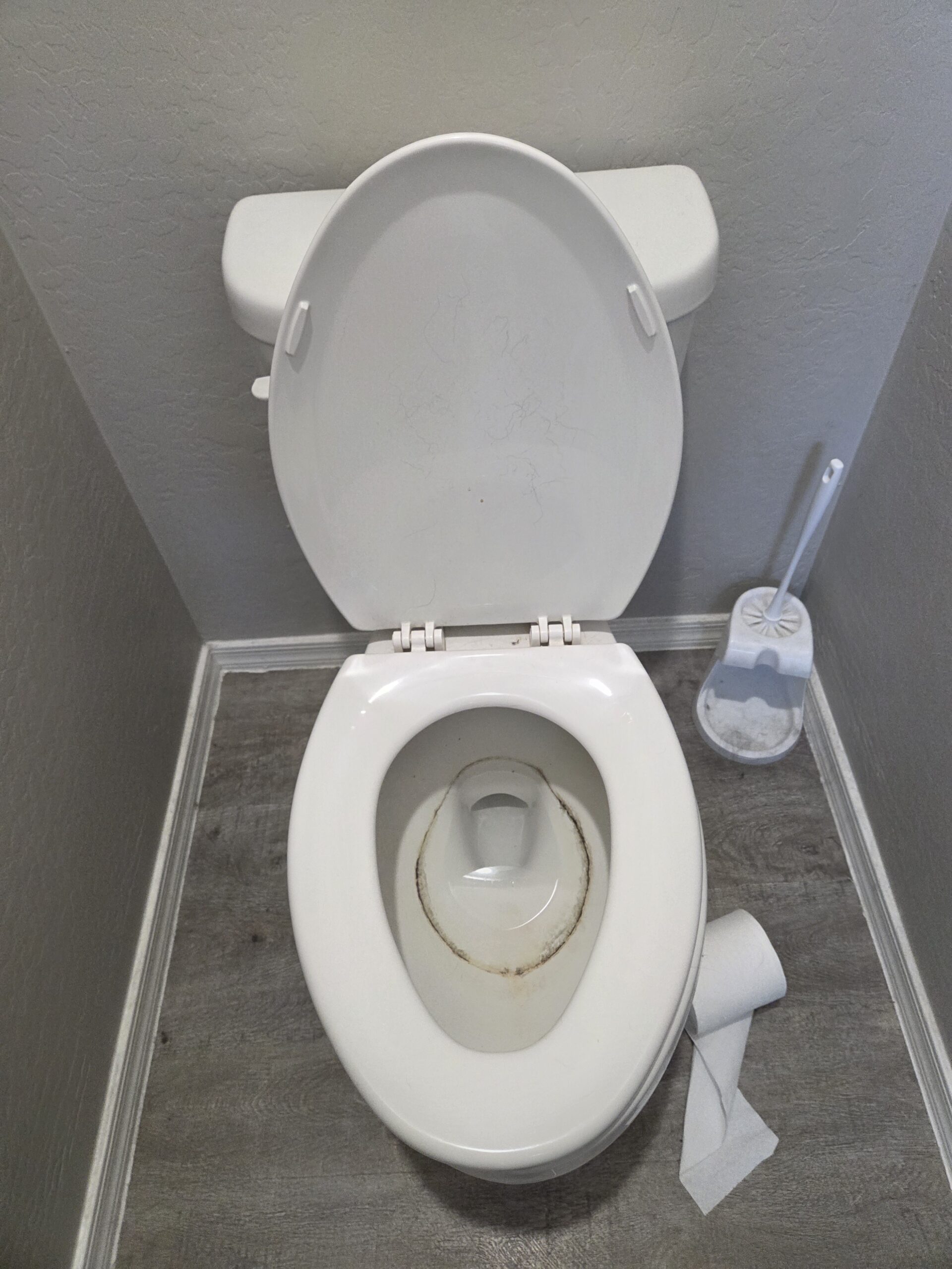 The Ultimate Battle Against the Stubborn Toilet Ring